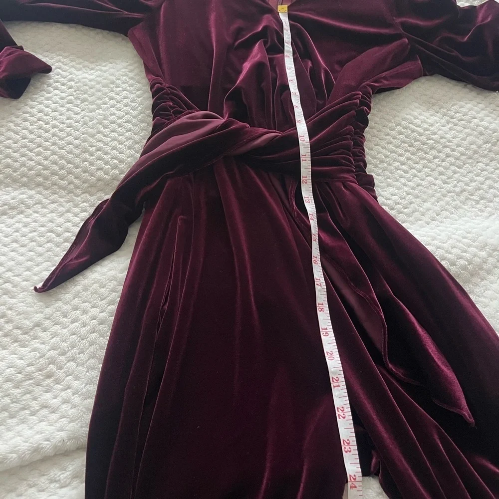 Monique Lhuillier Collection Merlot Soft Velvet Tapered Jumpsuit